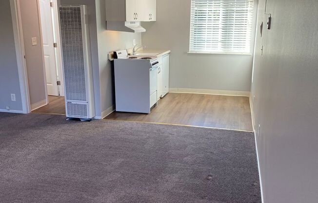 Studio, 1 bath, 425 sqft, $1,750, Unit 2970-11