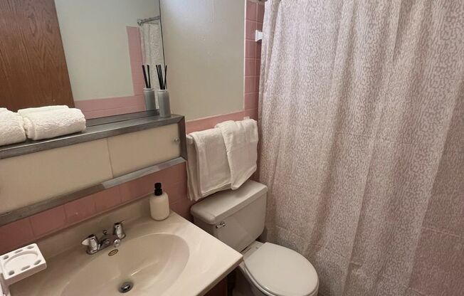 1 bed, 1 bath, 550 sqft, $950, Unit 1907-102