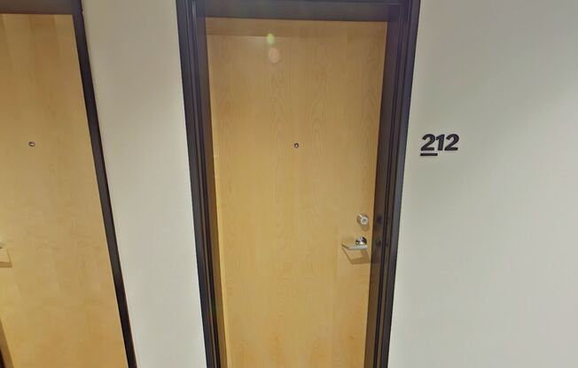 Studio, 1 bath, 314 sqft, $1,250, Unit 212