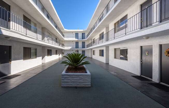 a large concrete planter sits in the middle of a courtyard