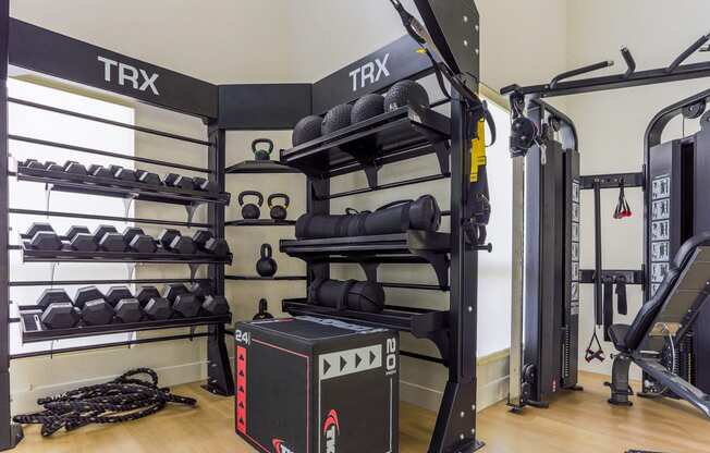 a fitness room with weights and a rack of trx equipment