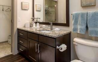 A bathroom with a toilet, sink, and mirror.