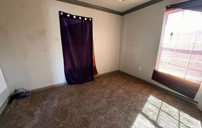 Adorable house for rent! With large fenced backyard.