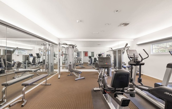 A fitness studio with treadmills, weights, and other exercise equipment.