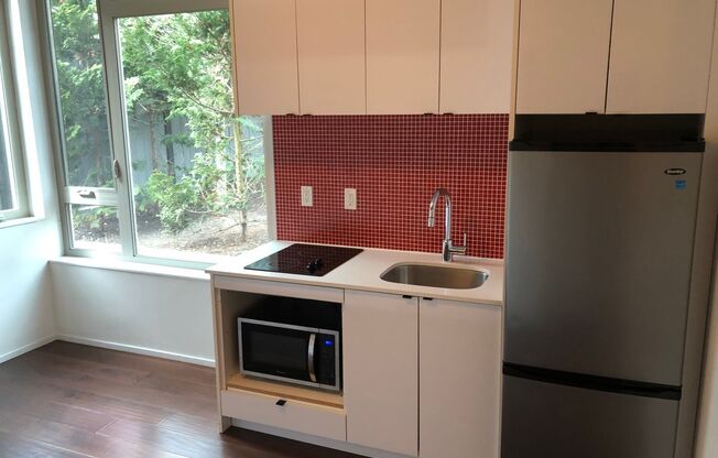 Studio, 1 bath, 202 sqft, $1,165, Unit 307