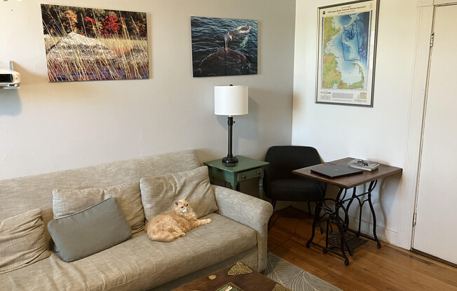 545 SOMERVILLE AVE