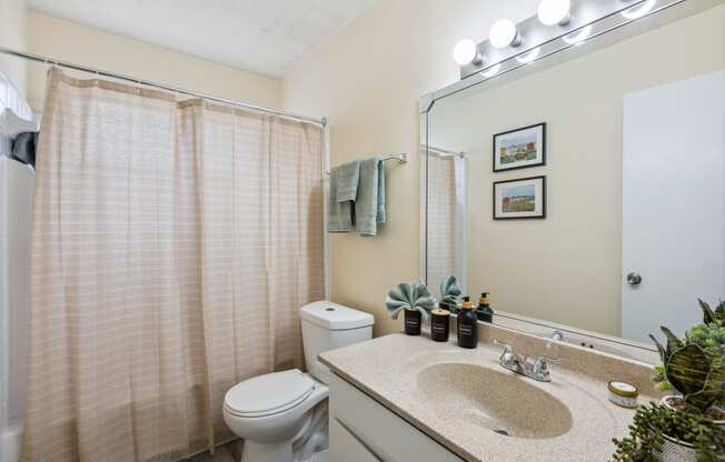 a bathroom with a shower toilet and sink and a mirror