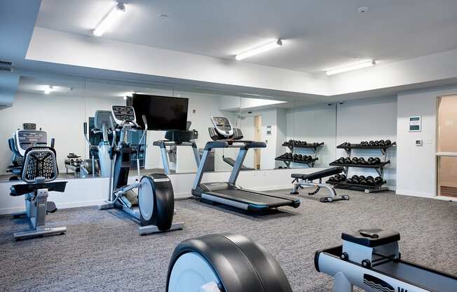 a large fitness room with treadmills and other exercise equipment