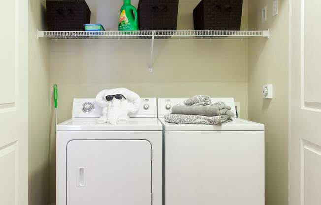 Pine Valley Ranch Apartments Washer and Dryers