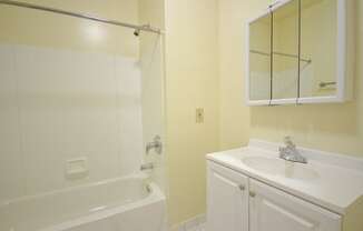 bathroom with with sink, bathtub and cabinets