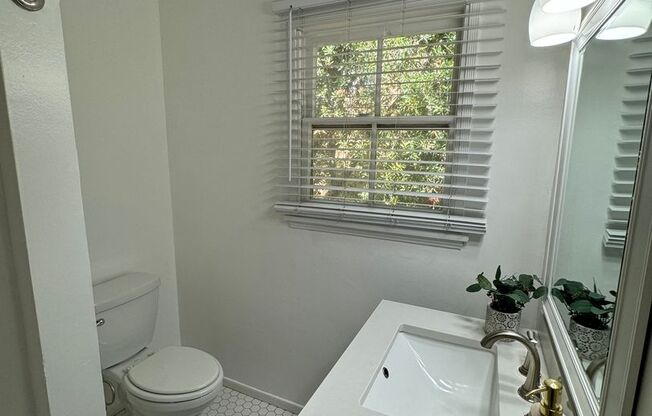 Studio, 1 bath, 300 sqft, $1,250, Unit 18