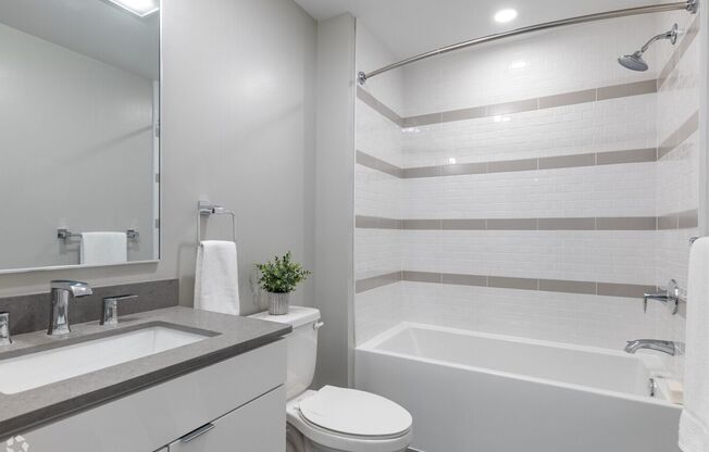 1 bed, 1 bath, 519 sqft, $2,595, Unit 319