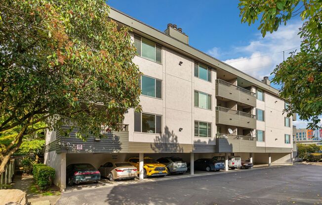 Spacious 1BD/1BA apartment near Northgate
