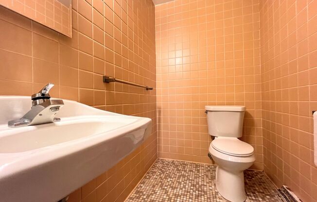 Studio, 1 bath, $750, Unit 202