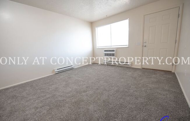 1 bed, 1 bath, 480 sqft, $899, Unit 190