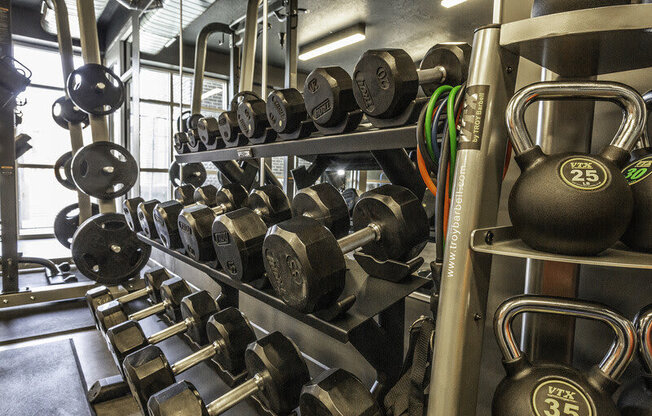 dumbbells and kettlebells at Lotus Republic Apartments for rent in Downtown Salt Lake City, Utah