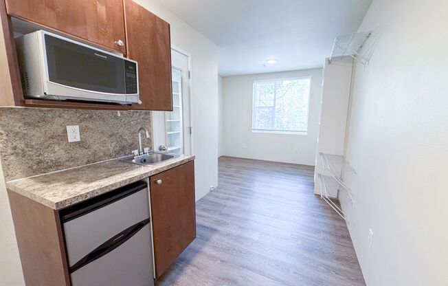 Studio, 1 bath, 160 sqft, $1,250, Unit 356