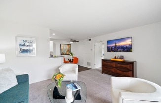 a living room with couches and a glass coffee table and a television