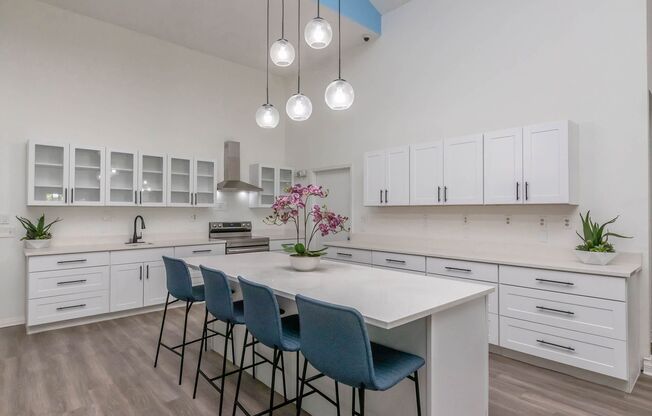 Vivo Living Jacksonville