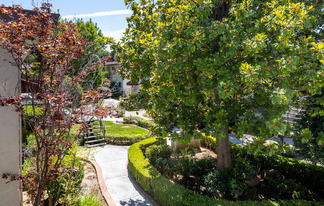 a view of a park with trees and a sidewalk