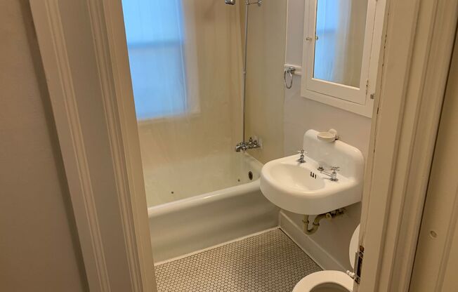 Studio, 1 bath, 450 sqft, $1,095, Unit 304