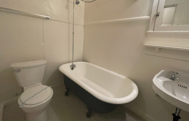 Studio, 1 bath, 500 sqft, $1,150