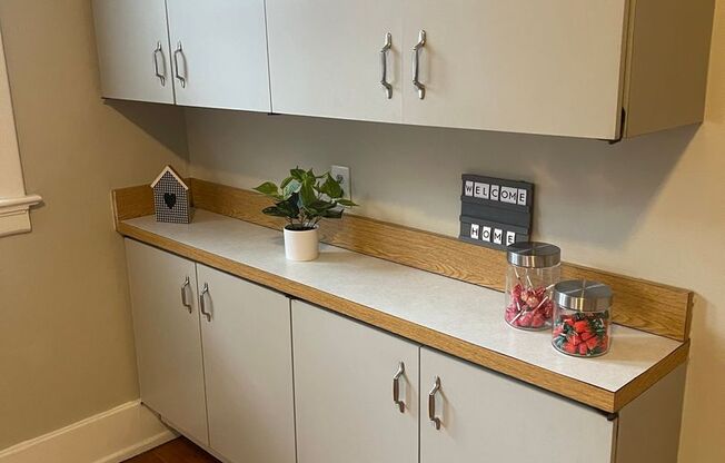 Newly renovated, spacious 2br in Shaw neighborhood.