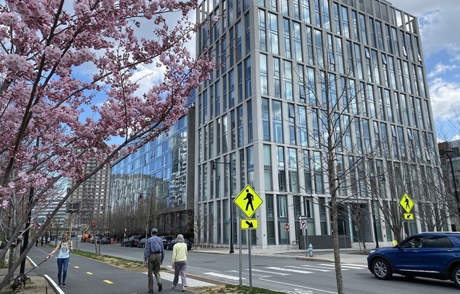 1 bed, 1 bath, 800 sqft, $3,600, Unit 402