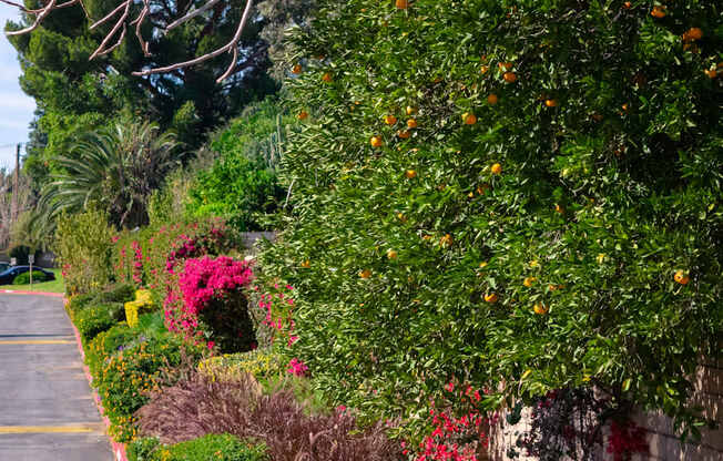 A row of trees and plants with orange flowers.