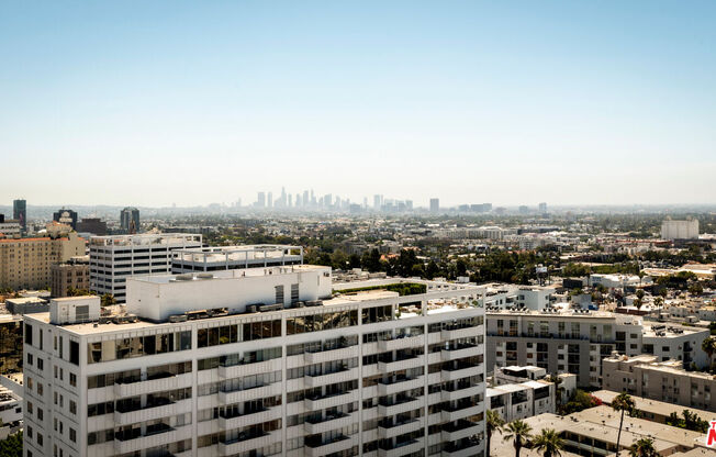 1 bed, 1 bath, 981 sqft, $3,250, Unit 101