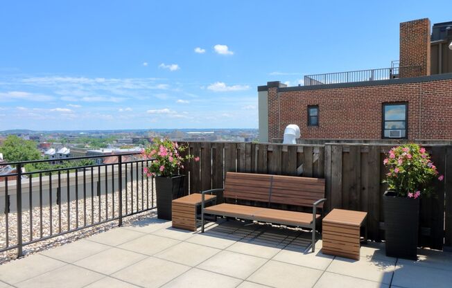 1 bed, 1 bath, 525 sqft, $2,525, Unit 202