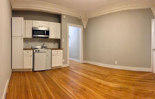 Studio, 1 bath, 235 sqft, $1,295, Unit 102