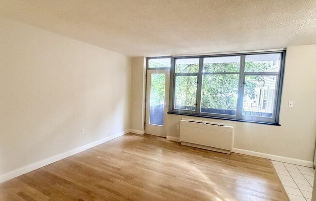 1 bed, 1 bath, 527 sqft, $2,000, Unit 10