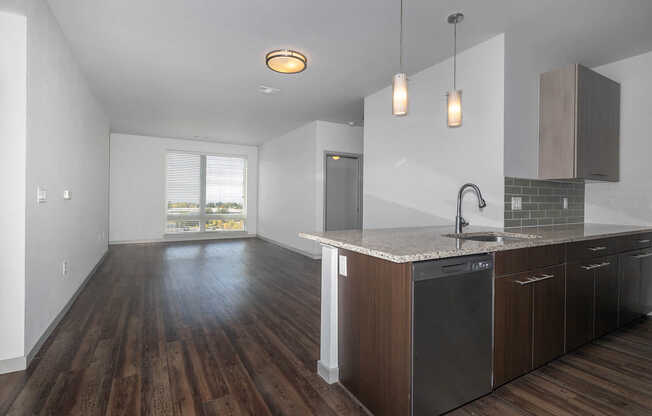 Kitchen and Living Area with Hard Surface Flooring