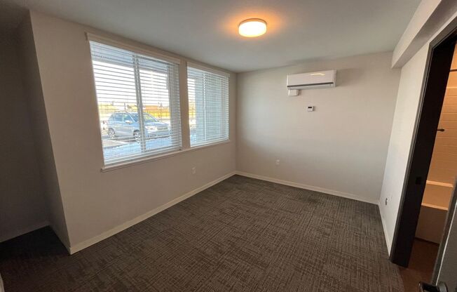 1 bed, 1 bath, 494 sqft, $1,250, Unit 17