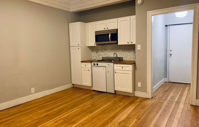 Studio, 1 bath, 235 sqft, $1,295, Unit 102