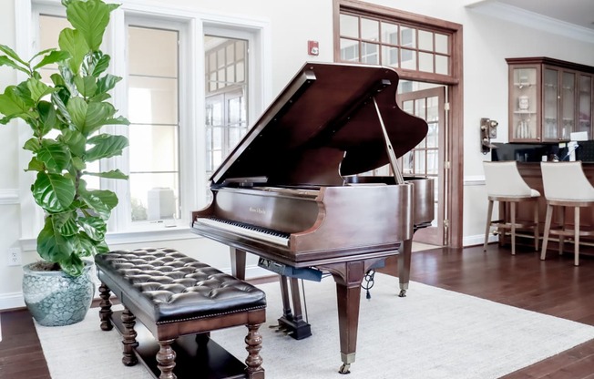 a piano in a living room with a potted plant