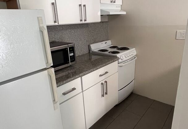 Studio, 1 bath, 250 sqft, $2,095, Unit 111