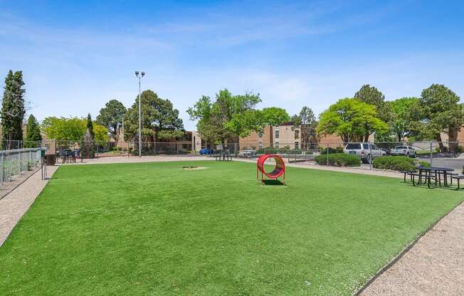 a dog park with a green lawn and a tunnel in the middle