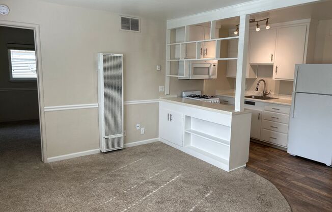 1 bed, 1 bath, $1,550, Unit 12