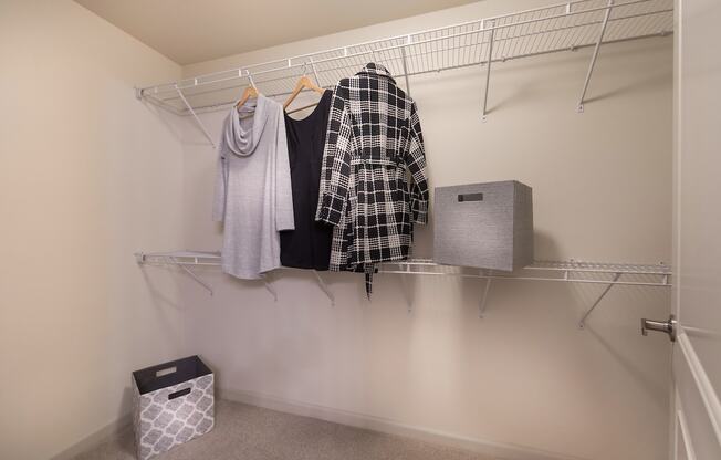 Walk In Closet at Andorra Apartments