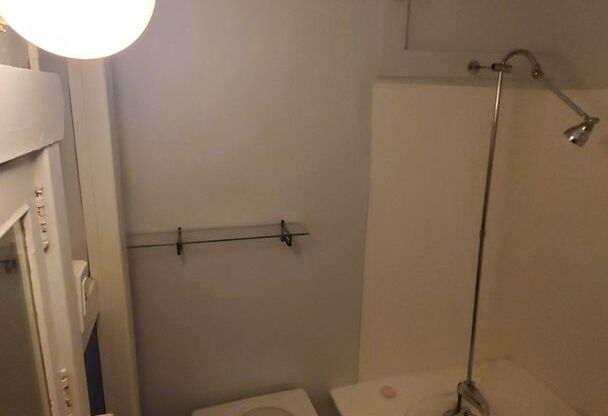 Studio, 1 bath, 290 sqft, $1,195, Unit 104