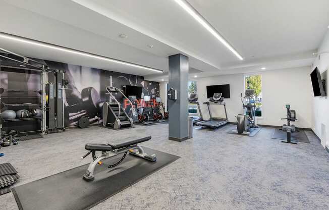 a gym with weights and cardio equipment in a room with a mural on the wall