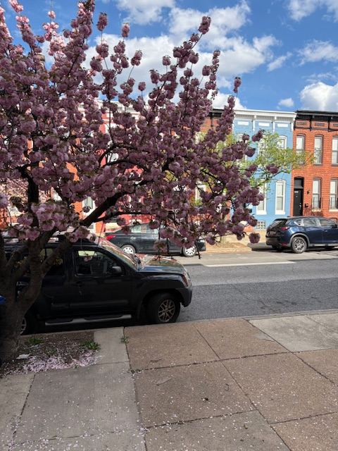 420 N COLLINGTON AVE