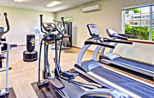 Maple Pointe Fitness Center Cardio Equipment