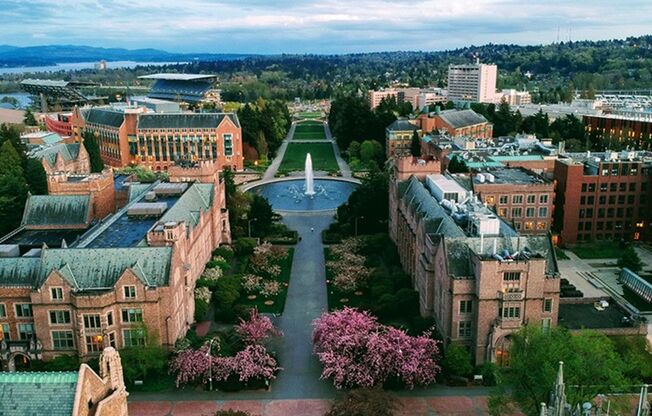 1 bed, 1 bath, 737 sqft, $1,795, Unit 302