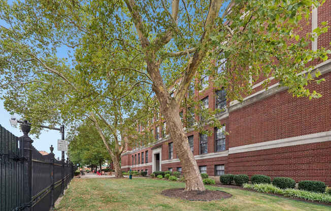 A tree in front of a brick building.