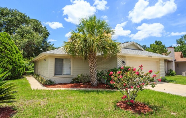 Clean and Neat Single Family Home