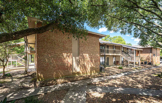 A tree shades a walkway in front of a brick building.
