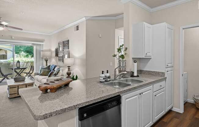 Quartz countertops in kitchens - Willow Spring Apartments